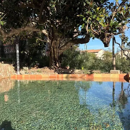 Villa Magdala-Chambre D'Hote 4 Hyères