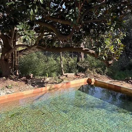 Bed & Breakfast Villa Magdala-Chambre D'Hote 4